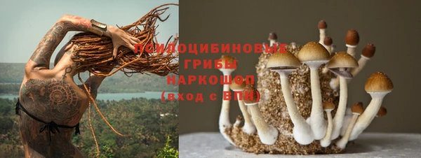 амф Абдулино