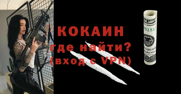 стафф Алексин